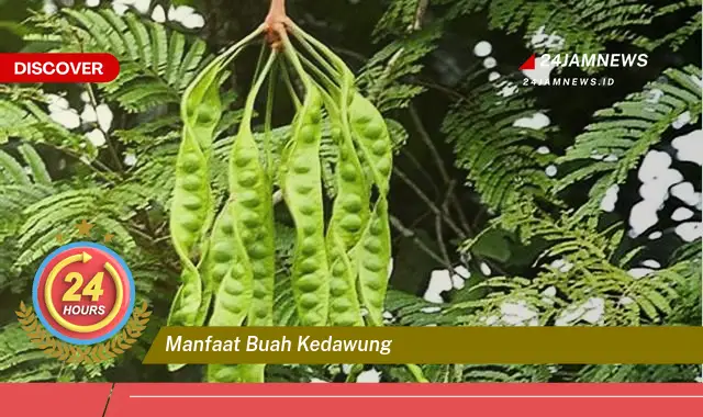 Temukan Manfaat Buah Kedawung untuk Kesehatan, Dari Akar Hingga Daun