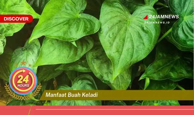Temukan Manfaat Buah Keladi untuk Kesehatan dan Kecantikan yang Menakjubkan
