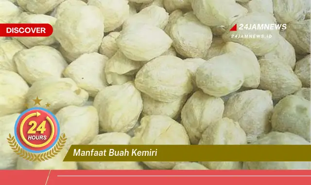 Temukan Manfaat Buah Kemiri untuk Kesehatan Tubuh dan Kecantikan Rambut