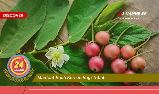 Temukan Manfaat Buah Kersen bagi Tubuh,  Dari Meningkatkan Imunitas Hingga Menjaga Kesehatan Kulit