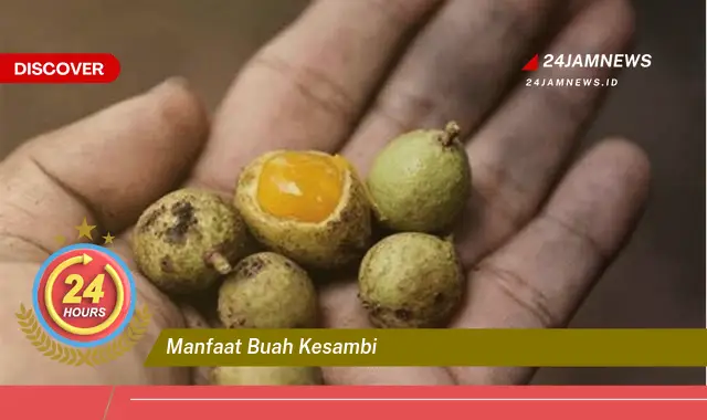 Temukan Manfaat Buah Kesambi untuk Kesehatan Anda, Dari Akar Hingga Daun