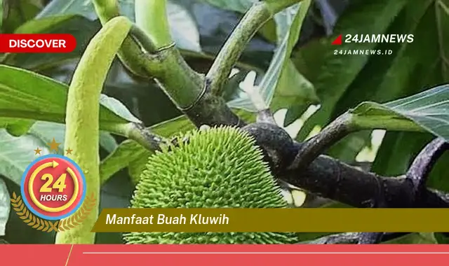 Temukan Segudang Manfaat Buah Kluwih untuk Kesehatan dan Kecantikan