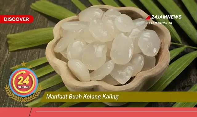 Temukan Manfaat Buah Kolang Kaling untuk Kesehatan Tubuh Anda