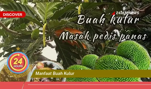Temukan Manfaat Buah Kulur untuk Kesehatan Tubuh Anda