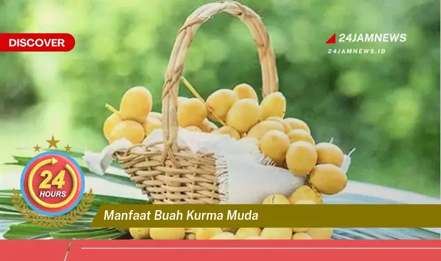 Temukan Manfaat Buah Kurma Muda untuk Ibu Hamil dan Janin Temukan Manfaat Buah Kurma Muda untuk Ibu Hamil dan Janin