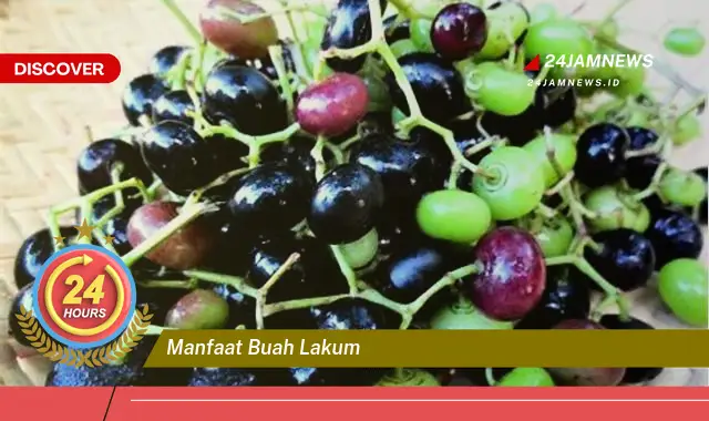 Temukan Manfaat Buah Lakum untuk Kesehatan Tubuh Anda