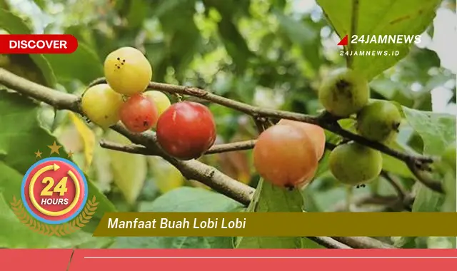 Temukan Manfaat Buah Lobi,lobi untuk Kesehatan, Meningkatkan Imunitas dan Menjaga Daya Tahan Tubuh
