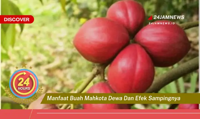Temukan Manfaat Buah Mahkota Dewa untuk Kesehatan dan Efek Samping yang Perlu Diwaspadai