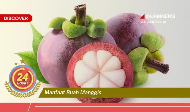 Temukan Manfaat Buah Manggis untuk Kesehatan Tubuh Anda