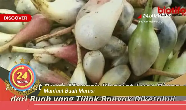 Temukan Manfaat Buah Marasi untuk Kesehatan Tubuh Anda Temukan Manfaat Buah Marasi untuk Kesehatan Tubuh Anda