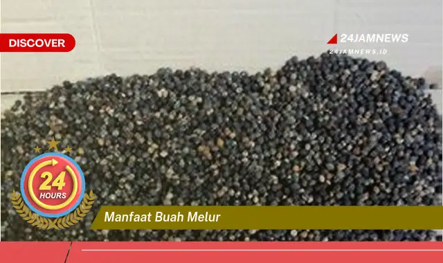 Temukan Manfaat Buah Melur untuk Kesehatan dan Kecantikan Anda