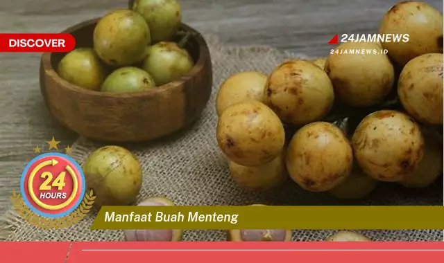 Temukan Manfaat Buah Menteng untuk Kesehatan Tubuh Anda Temukan Manfaat Buah Menteng untuk Kesehatan Tubuh Anda