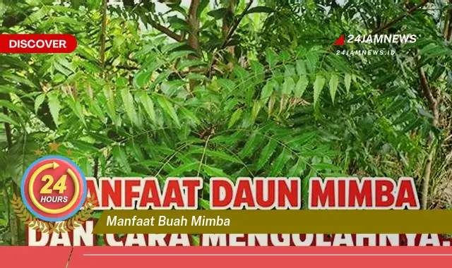 Temukan Manfaat Buah Mimba untuk Kesehatan, Kecantikan, dan Rumah Tangga