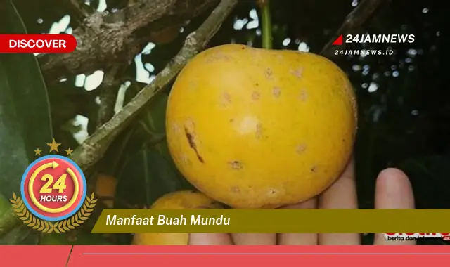 Temukan Manfaat Buah Mundu untuk Kesehatan, Dari Meningkatkan Imunitas Hingga Menjaga Kesehatan Jantung