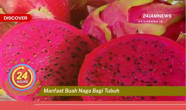 Temukan Manfaat Buah Naga Bagi Tubuh, Dari Kesehatan Hingga Kecantikan