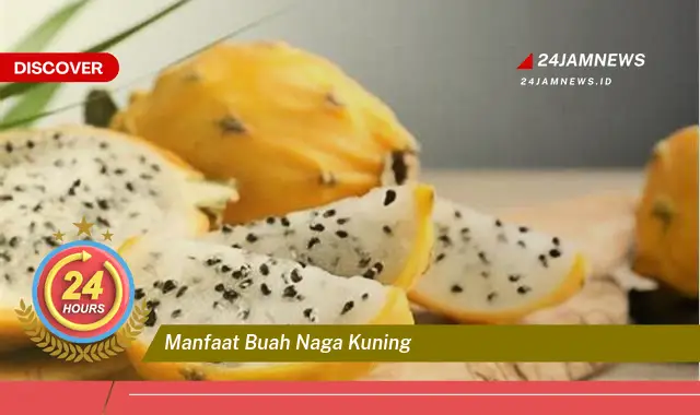 Temukan Manfaat Buah Naga Kuning untuk Kesehatan Tubuh Anda