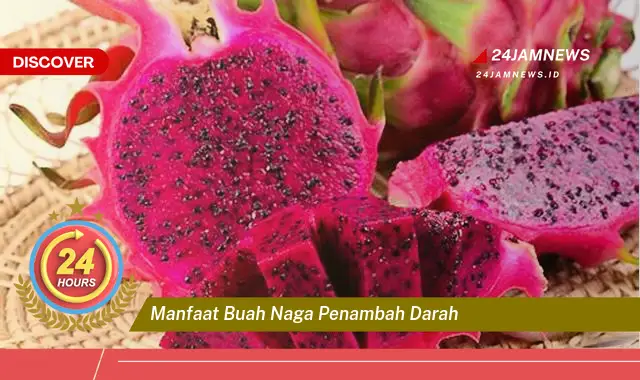 Temukan Manfaat Buah Naga untuk Penambah Darah Bagi Penderita Anemia