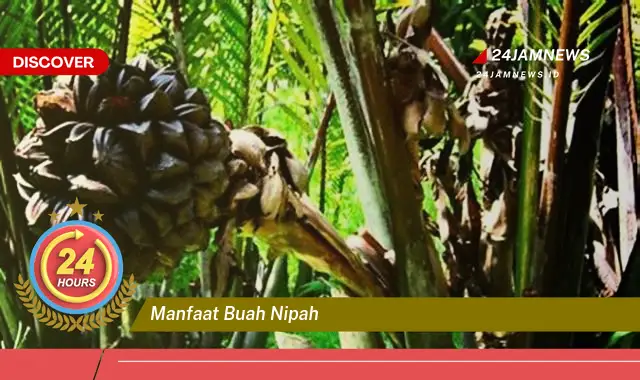 Temukan Manfaat Buah Nipah untuk Kesehatan, Kecantikan, dan Lainnya