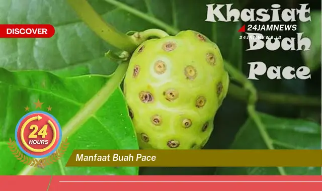 Temukan Manfaat Buah Pace untuk Kesehatan Tubuh Anda
