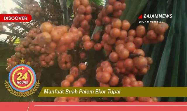 Temukan Manfaat Buah Palem Ekor Tupai untuk Kesehatan Anda