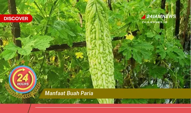 Temukan Manfaat Buah Paria untuk Kesehatan Tubuh Anda