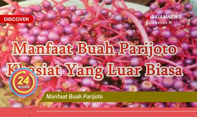 Temukan Manfaat Buah Parijoto untuk Promil dan Kehamilan yang Sehat
