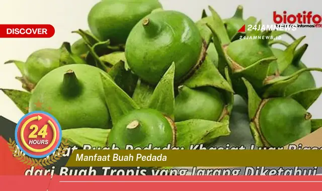 Temukan Manfaat Buah Pedada untuk Kesehatan, Kecantikan, dan Lainnya