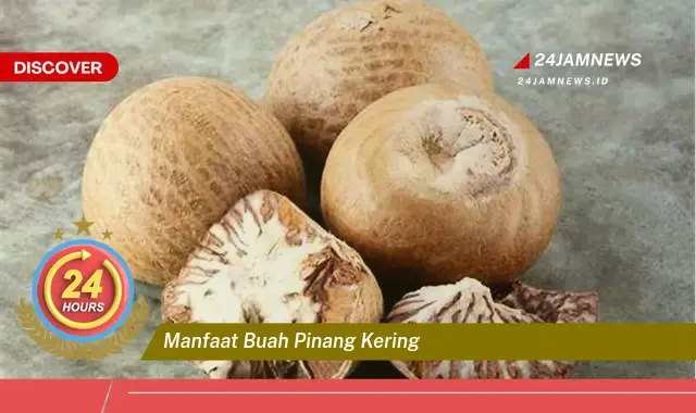 Temukan Manfaat Buah Pinang Kering untuk Kesehatan Anda