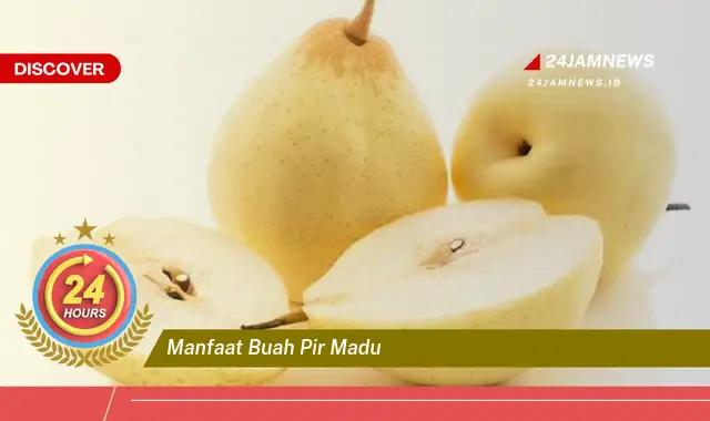 Temukan Manfaat Buah Pir Madu untuk Kesehatan Tubuh Anda