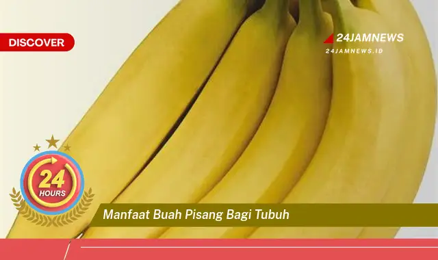 Temukan Manfaat Buah Pisang bagi Tubuh, Panduan Lengkap untuk Kesehatan Anda