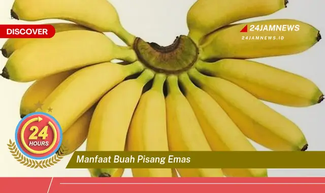 Temukan Manfaat Buah Pisang Emas untuk Kesehatan dan Kecantikan