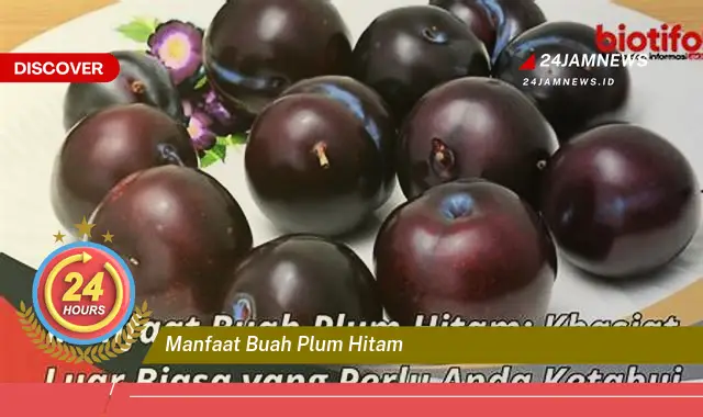 Temukan Manfaat Buah Plum Hitam untuk Kesehatan Anda yang Luar Biasa Temukan Manfaat Buah Plum Hitam untuk Kesehatan Anda yang Luar Biasa
