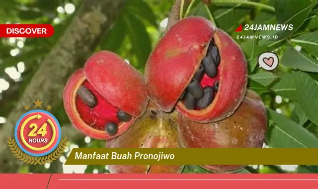 Temukan Manfaat Buah Pronojiwo untuk Kesehatan dan Kecantikan Anda