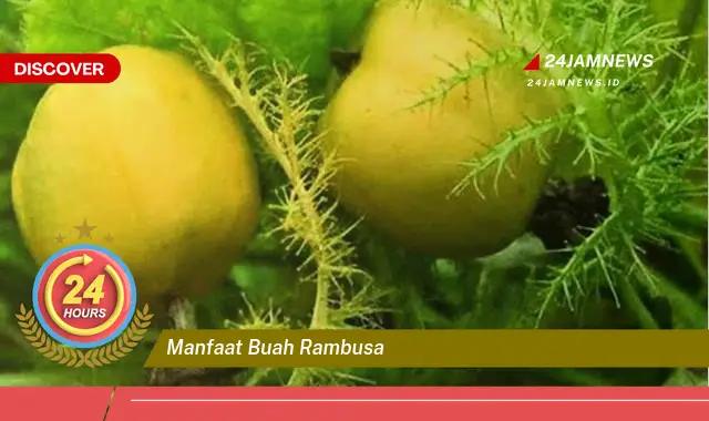 Temukan Manfaat Buah Rambutan untuk Kesehatan Tubuh Anda