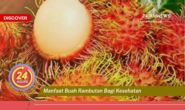 Temukan Manfaat Buah Rambutan bagi Kesehatan Tubuh Anda Secara Menyeluruh