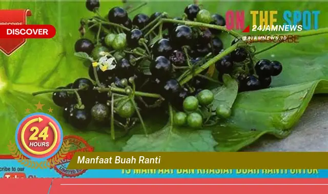 Temukan Manfaat Buah Ranti untuk Kesehatan Anda yang Menakjubkan