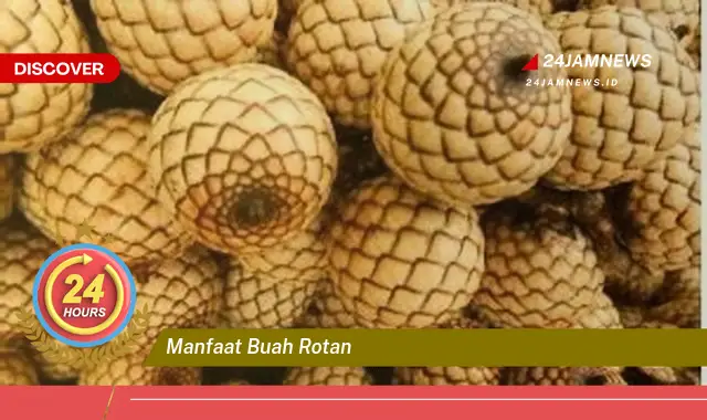 Temukan Manfaat Buah Rotan yang Menakjubkan untuk Kesehatan dan Kecantikan