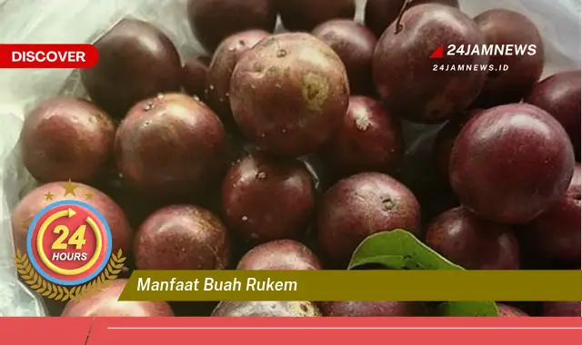 Temukan Manfaat Buah Rukem untuk Kesehatan Tubuh Anda Temukan Manfaat Buah Rukem untuk Kesehatan Tubuh Anda
