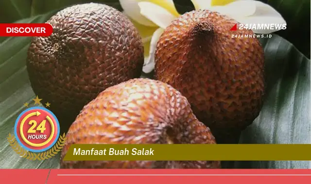 Temukan Manfaat Buah Salak untuk Kesehatan Tubuh Anda