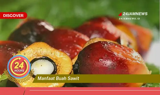 Temukan Manfaat Buah Sawit untuk Kesehatan, Dari Jantung Hingga Kulit