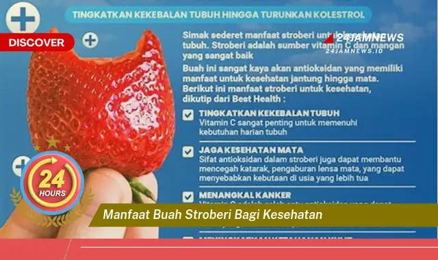 Temukan Manfaat Buah Stroberi bagi Kesehatan Tubuh Anda