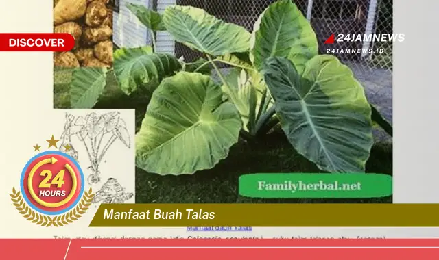 Temukan Manfaat Buah Talas untuk Kesehatan, Kecantikan, dan Lainnya
