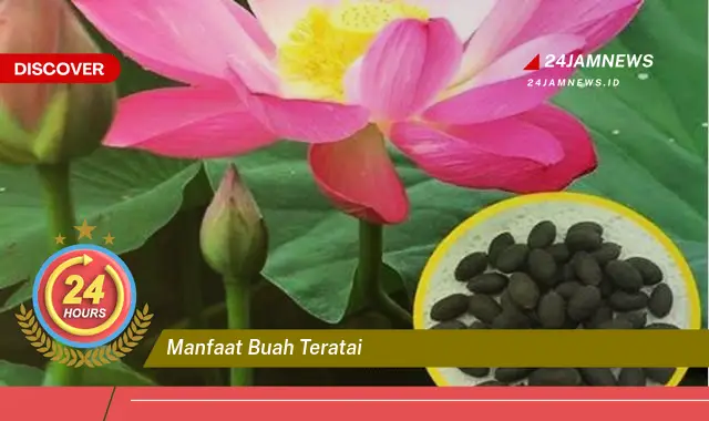 Temukan Manfaat Buah Teratai untuk Kesehatan Tubuh Anda