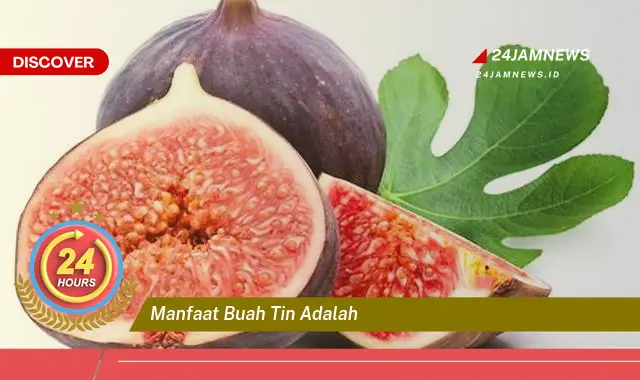 Temukan Manfaat Buah Tin untuk Kesehatan Tubuh Anda