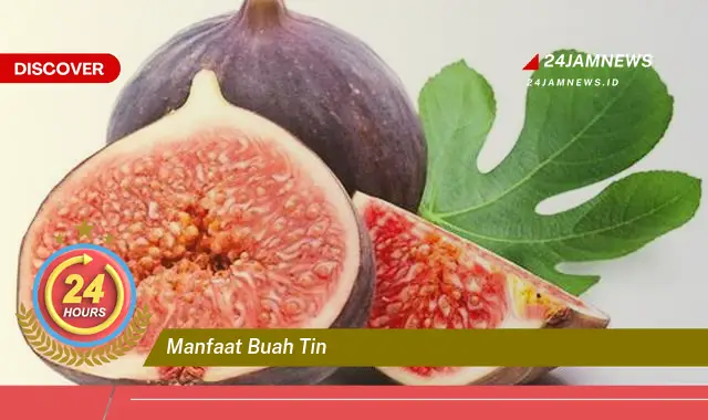 Temukan Manfaat Buah Tin untuk Kesehatan, Kecantikan, dan Lebih Banyak Lagi