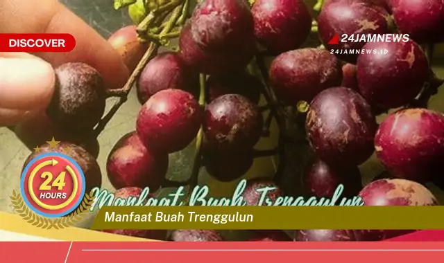 Temukan Manfaat Buah Trenggulun untuk Kesehatan Tubuh Anda