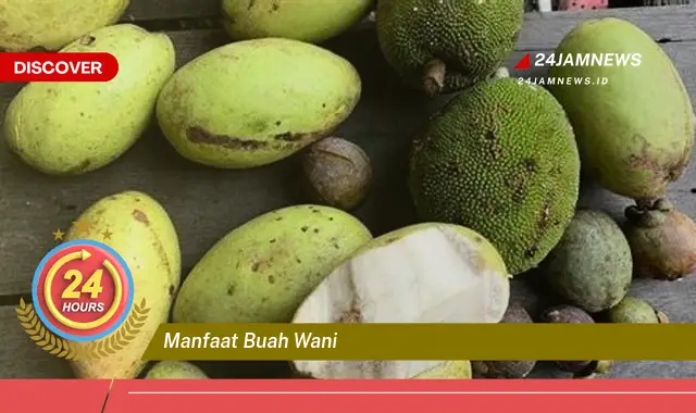 Temukan Manfaat Buah Wani untuk Kesehatan Tubuh Anda