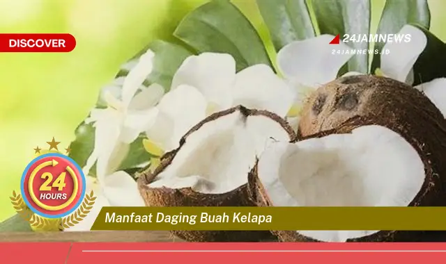 Temukan Manfaat Daging Buah Kelapa untuk Kesehatan Tubuh Anda