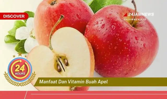 Temukan Manfaat & Vitamin Buah Apel untuk Kesehatan Tubuh Anda