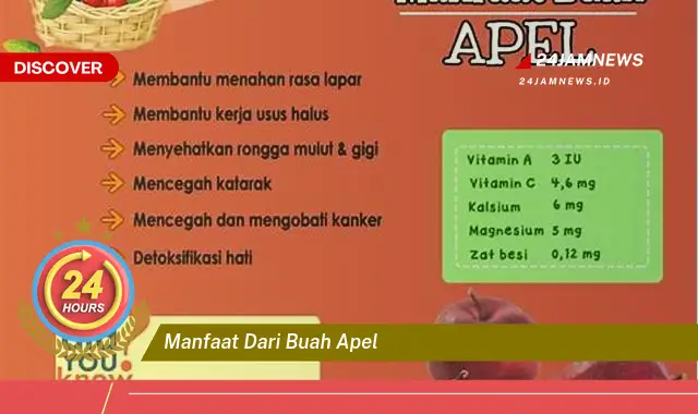 Temukan Manfaat dari Buah Apel untuk Kesehatan Tubuh Anda